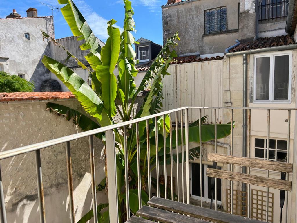 L'escale La Rochelle (Charente-Maritime)