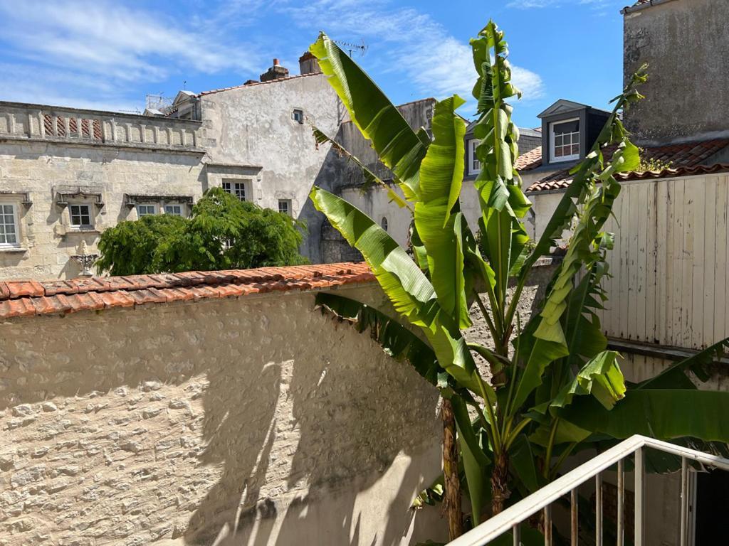 Appartement L'escale *