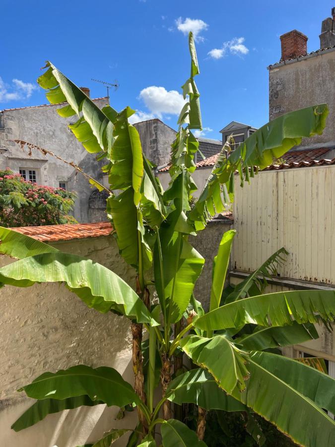 L'escale Appartement