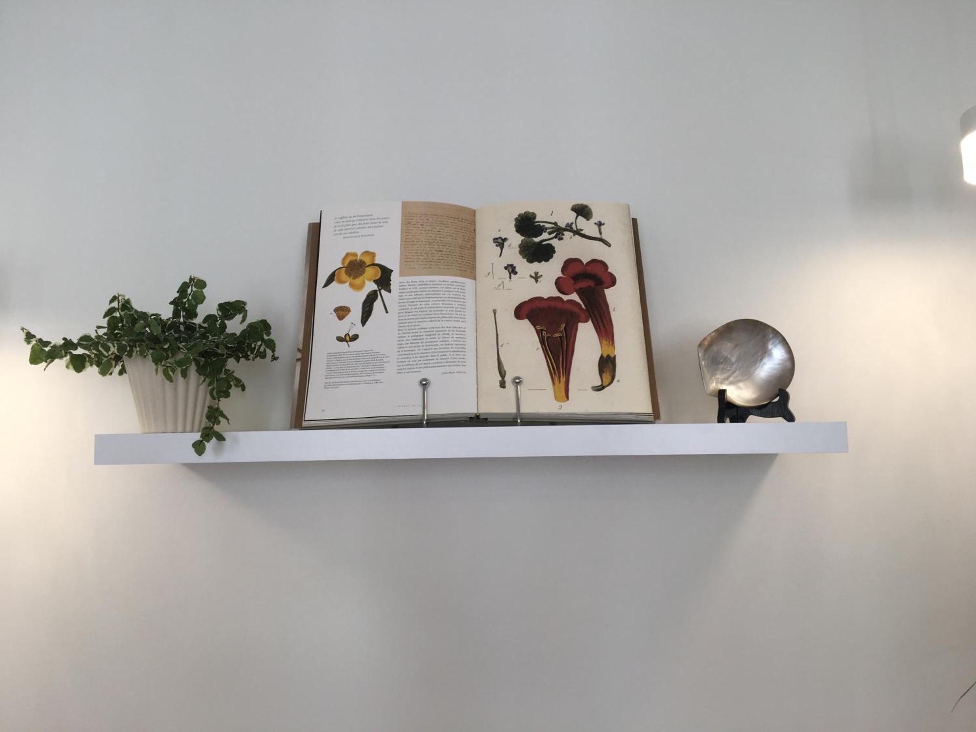Coeur Vieille Apartment
