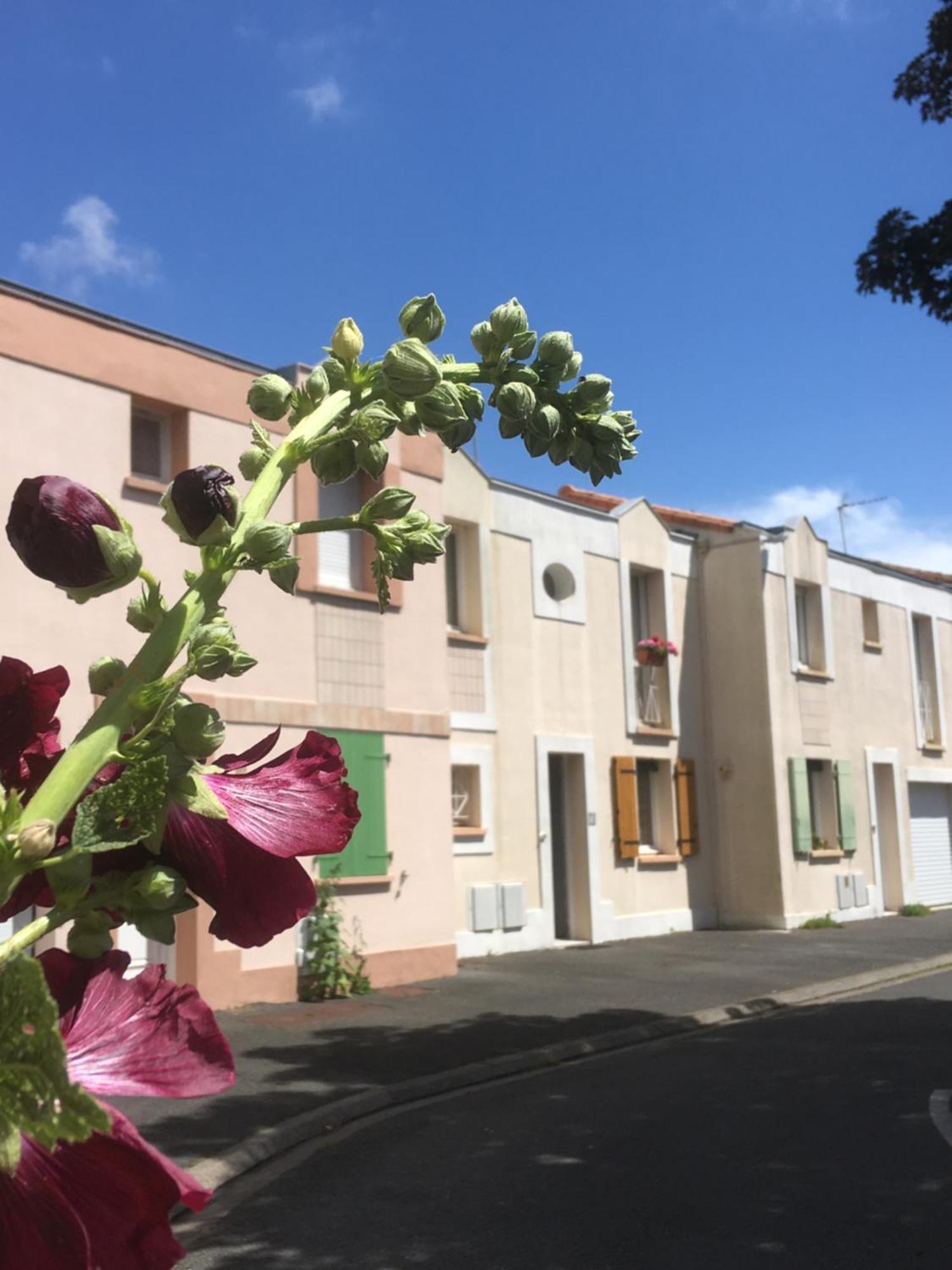 La Voyage * La Rochelle (Charente-Maritime)