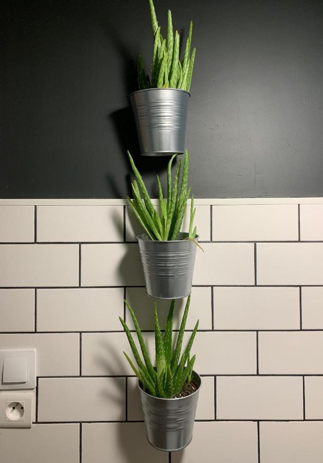 Appartement Les De Charly-le Duplex Du Marché