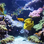L\'Oasis Marin Meuble, Lumineux Et Cosy A 1Min A Pied Du Marche Dans L\'Hyper Centre De La Rochelle Avec Tv Et Wifi