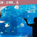 Ღ L\'Accostage • Au Coeur Du Vieux Port Et Du Centre Ville