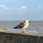 La Genette