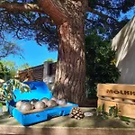 Villa Babeth By Nuits Au Port
