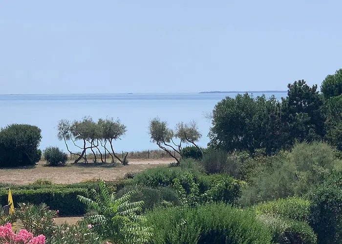 Sea Oceane