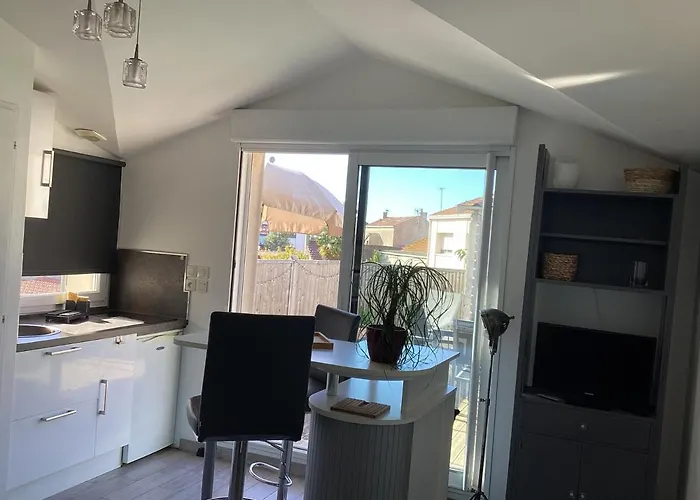Chaleureux T2 30 m2 et sa terrasse bois 16 m2