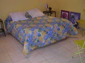Hotel Savary