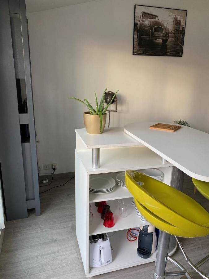 Chaleureux T2 30 M2 Et Sa Terrasse Bois 16 M2 *