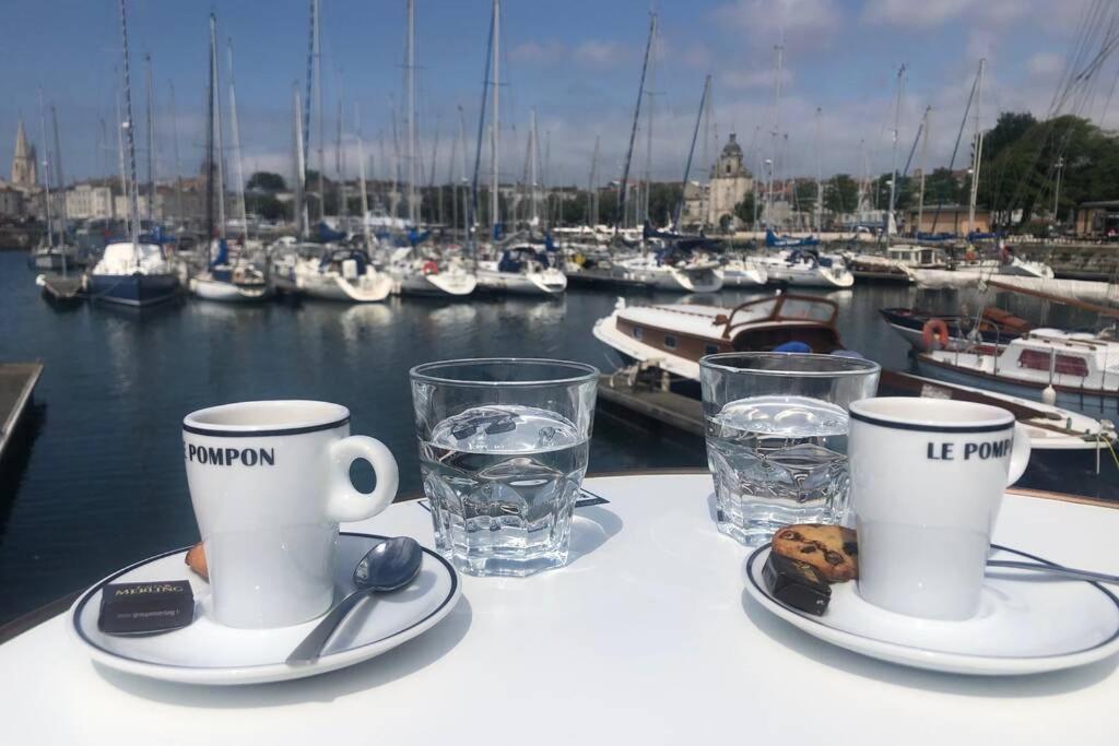 Terrasse Centre * La Rochelle (Charente-Maritime)