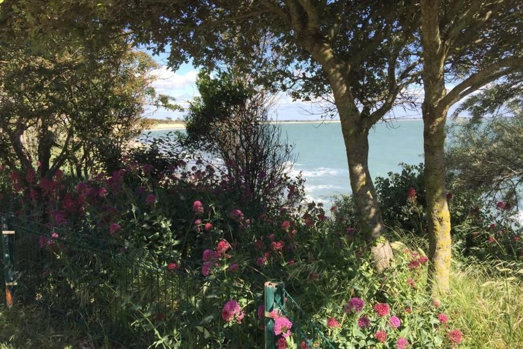 Terrasse Centre La Rochelle (Charente-Maritime)