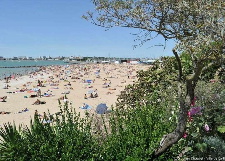 Appartement Au Coeur Du Centre De La Rochelle Au Calme Avec Stationnement Gratuit