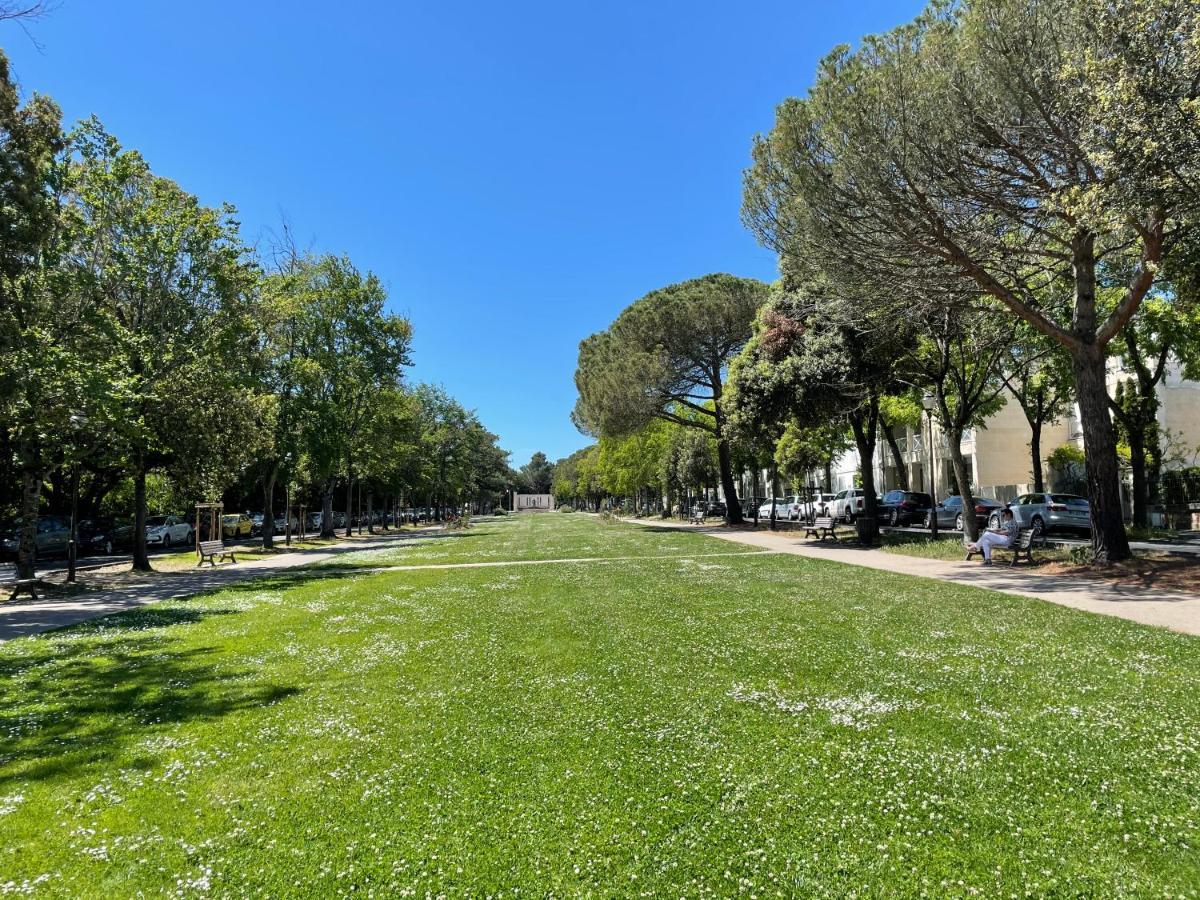Hébergement de vacances 64 Sur Le Mail *