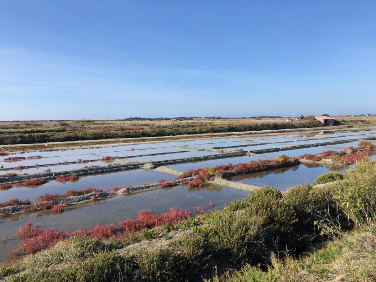 Apartment Les Pois Sont Verts La Rochelle (Charente-Maritime)