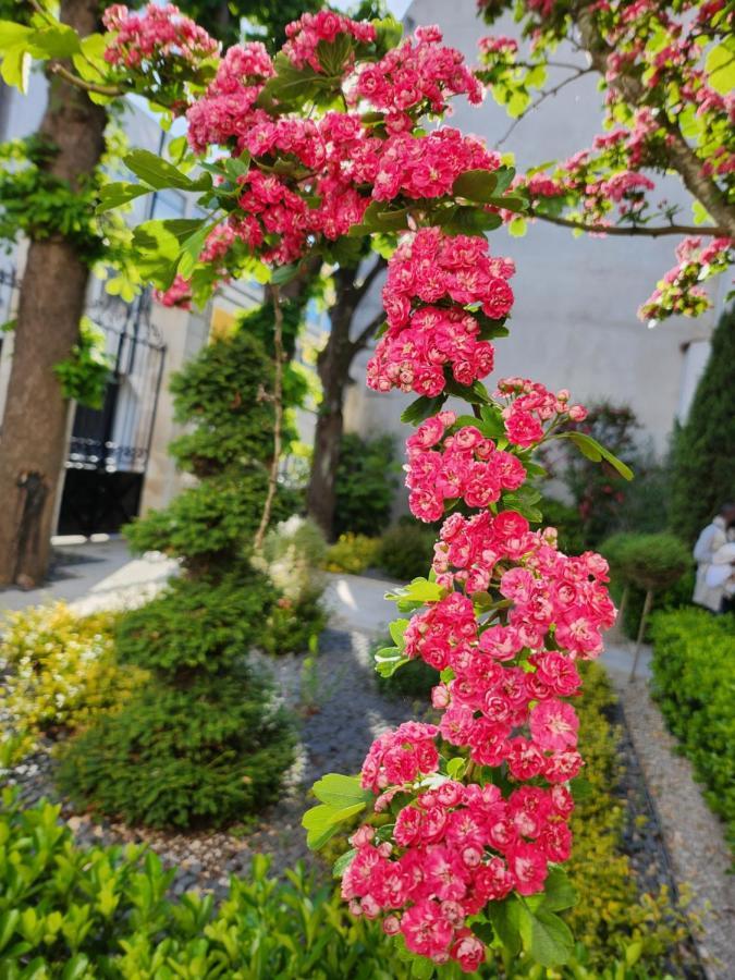 Apartment Le Jardin De L'horloge *