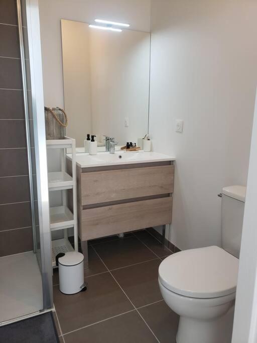 Appartement Grand Duplex Lumineux/terrasse+parking-la Rochelle *
