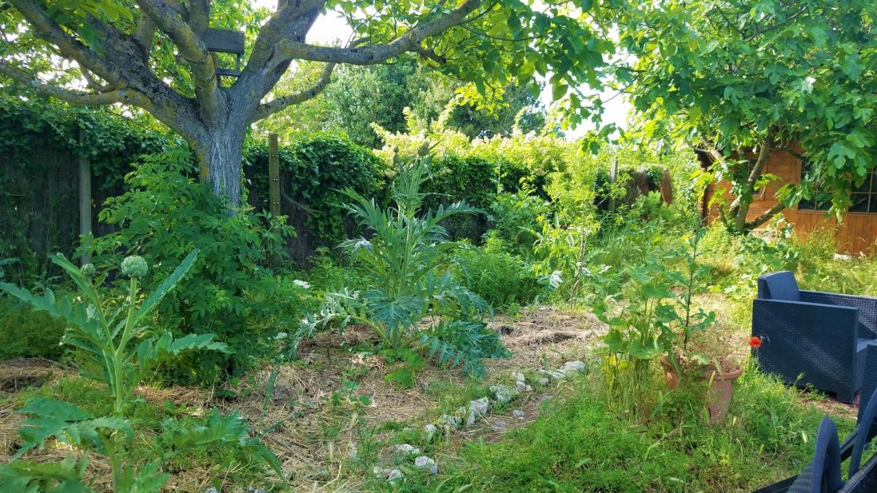 Les Ecologites De La Rochelle *