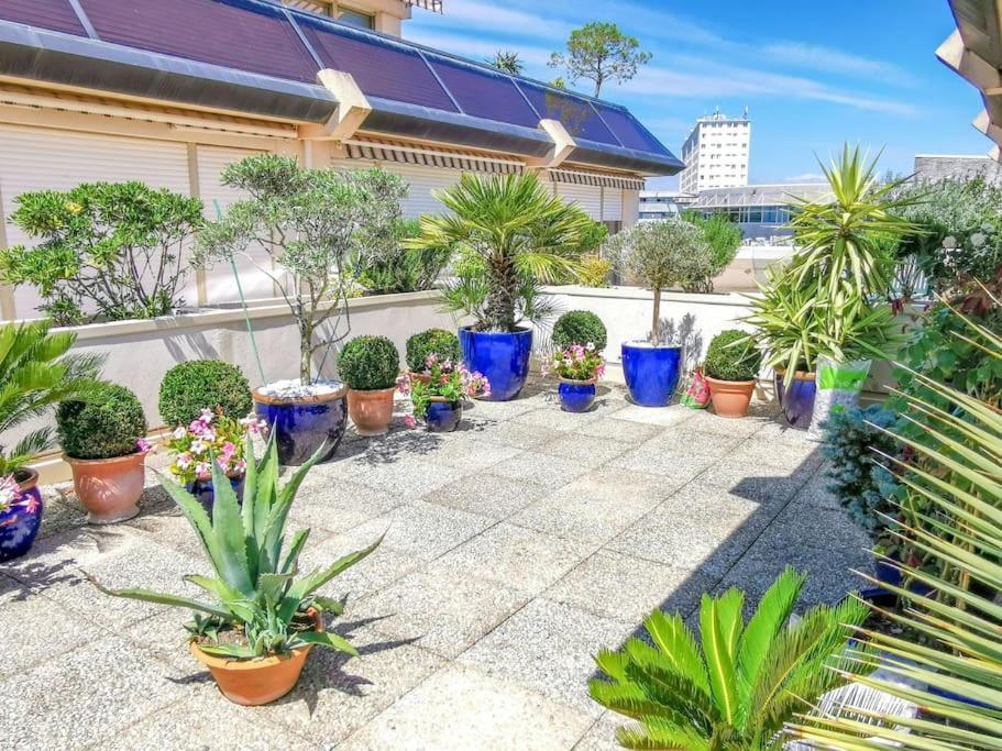 Appartement La Corniche *