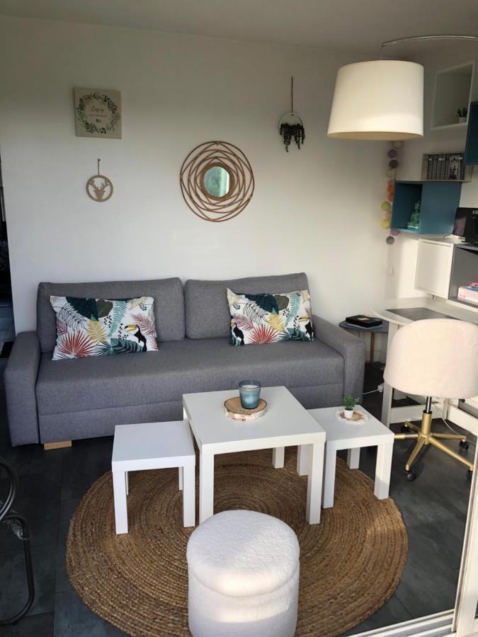Apartment T2 Avec Piscine Et Terrasse Dans Arboree La Rochelle (Charente-Maritime)