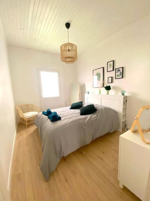 Appartement Belle Au Coeur De La Rochelle *