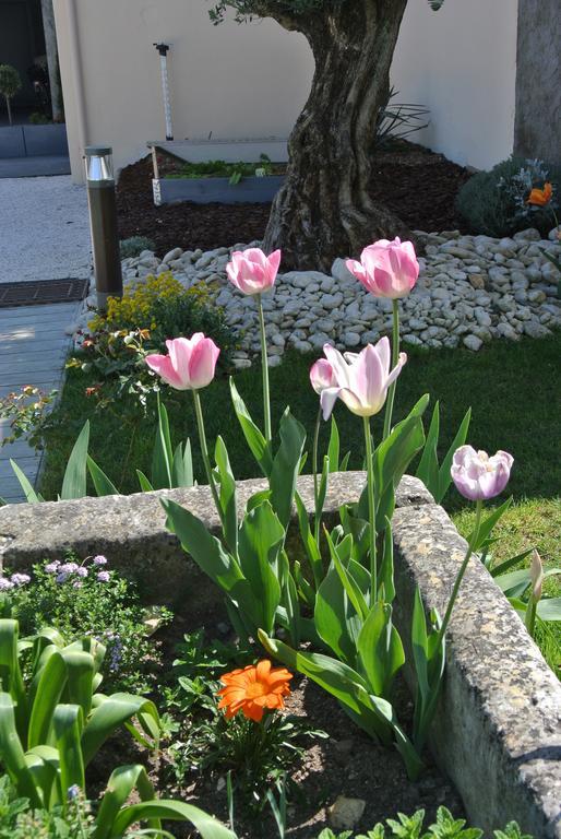 Couette-café Clos Les Arpents Verts