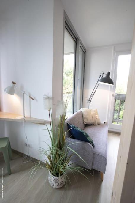 50m From The Ultra Cosy Balcony Near The Cen *