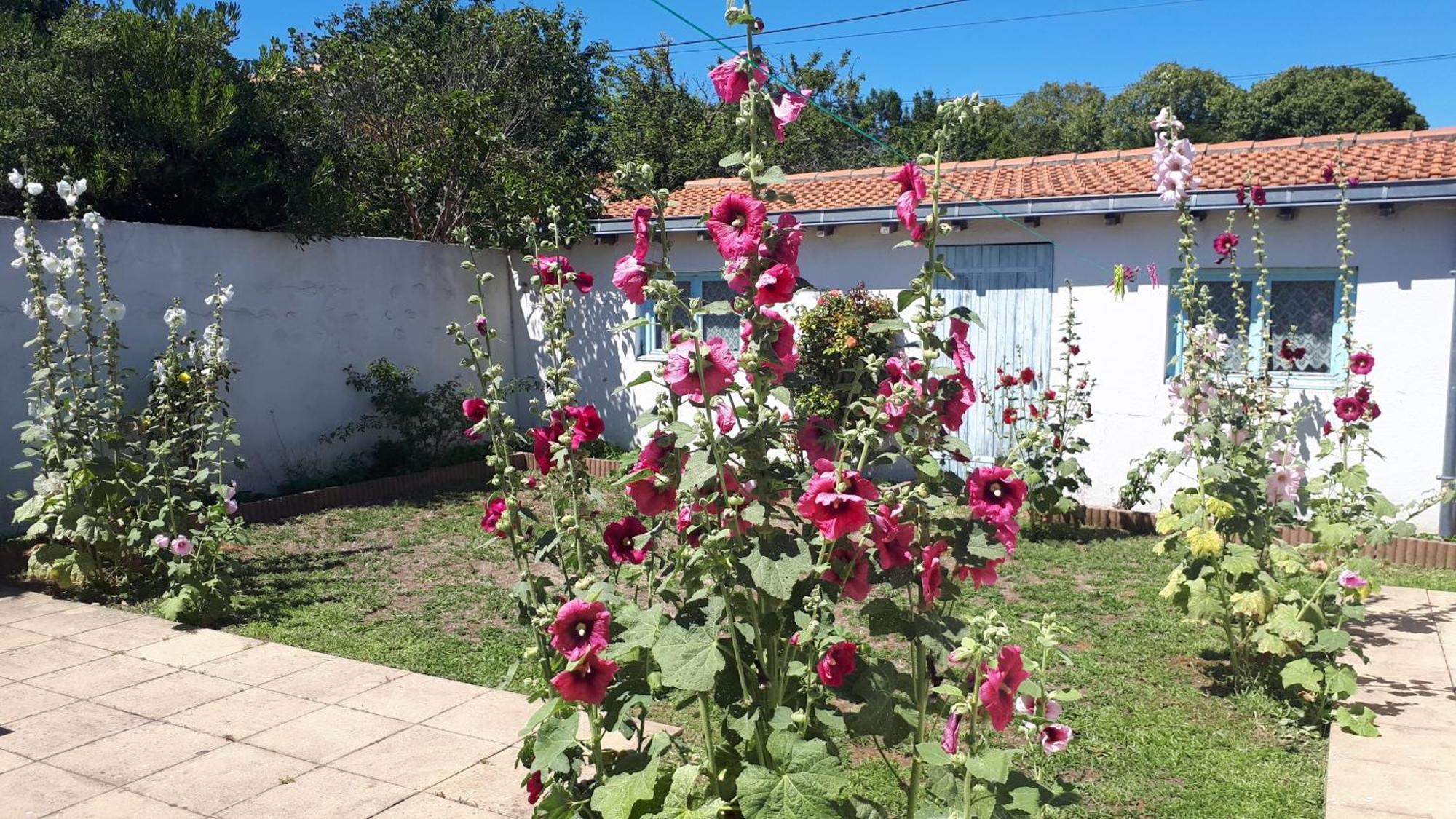 Maison De Familiale Hébergement de vacances La Rochelle (Charente-Maritime)