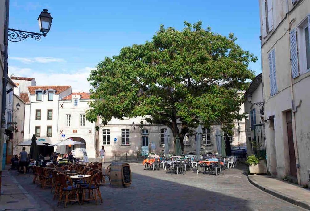 Appartement Bel T2 Lumineux Avec Terrasse Hyper Centre. La Rochelle (Charente-Maritime)