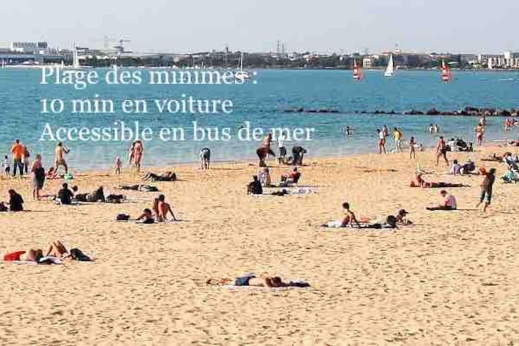 Bel T2 Lumineux Avec Terrasse Hyper Centre. *