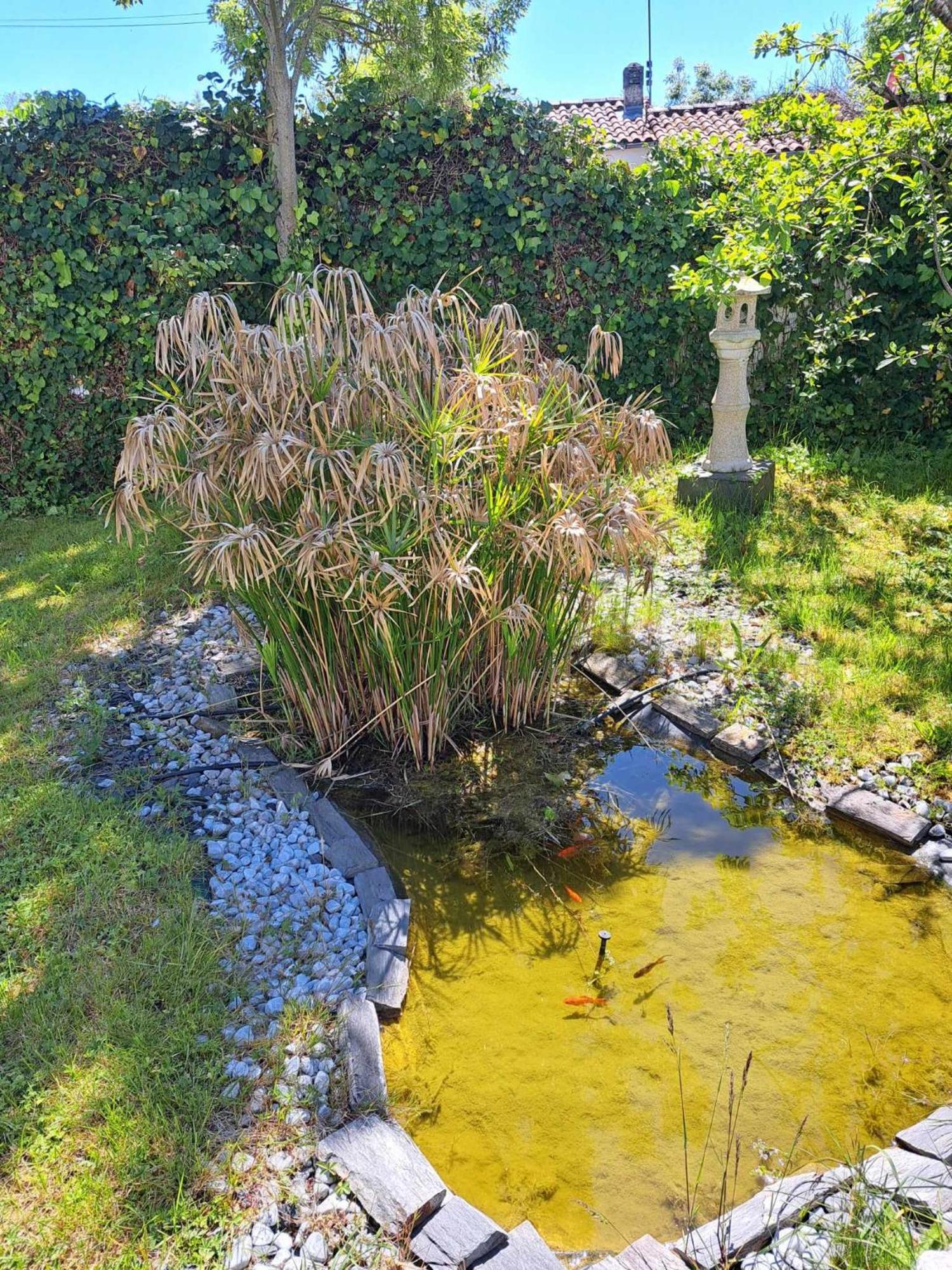 La Maison De Caroline Séjour chez l'habitant *