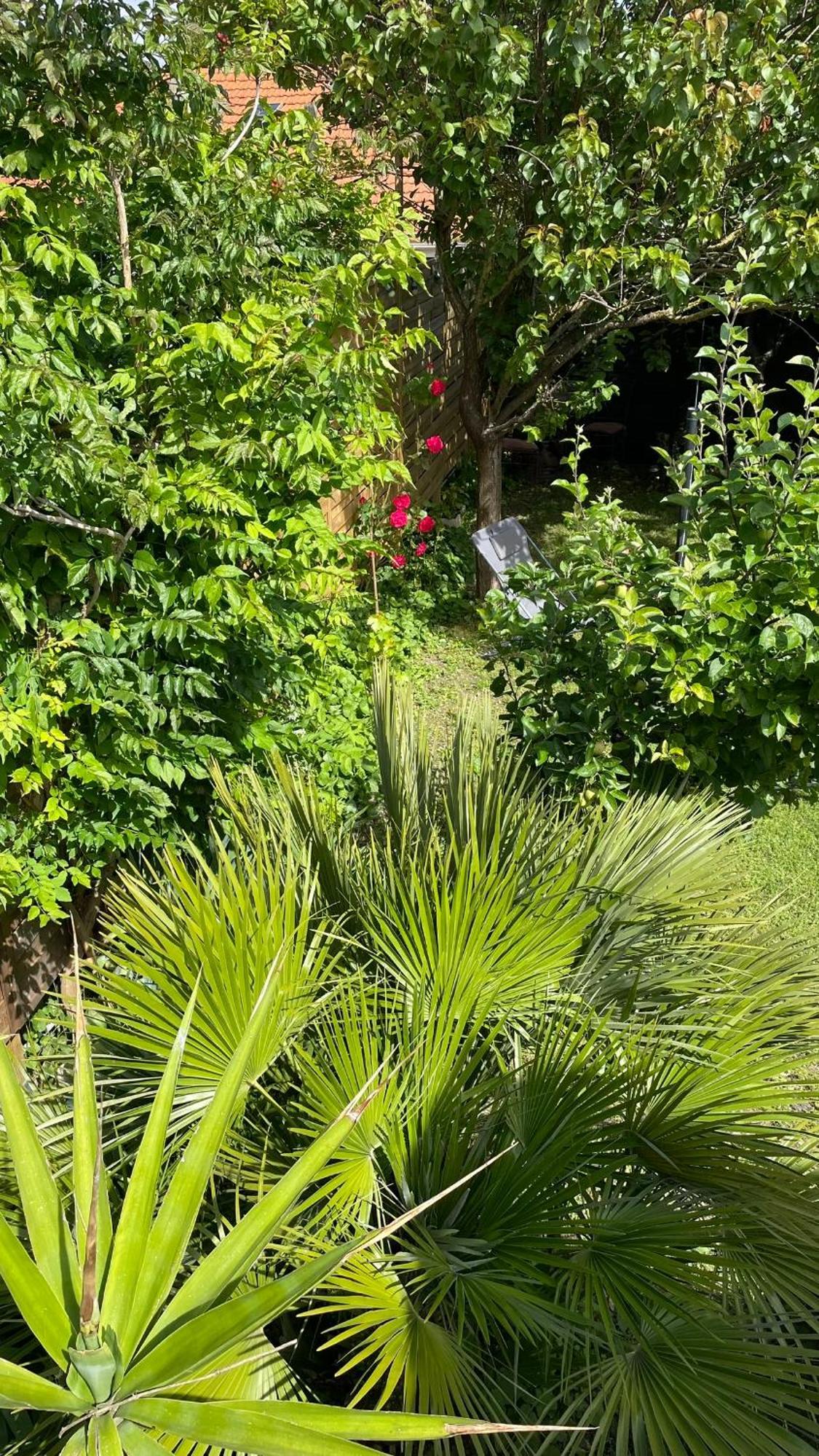 Holiday home Le Bayanas