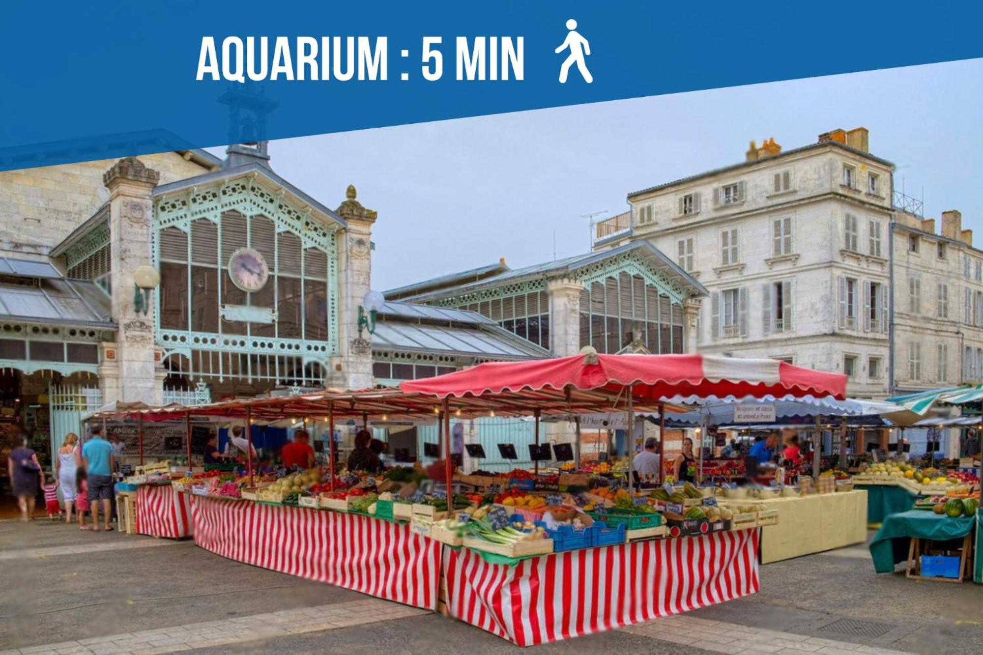 Sur Le Port - Duplex Cosy & Moderne Face Au Port - Wifi Gratuite - Parfaitement Equipe * La Rochelle (Charente-Maritime)