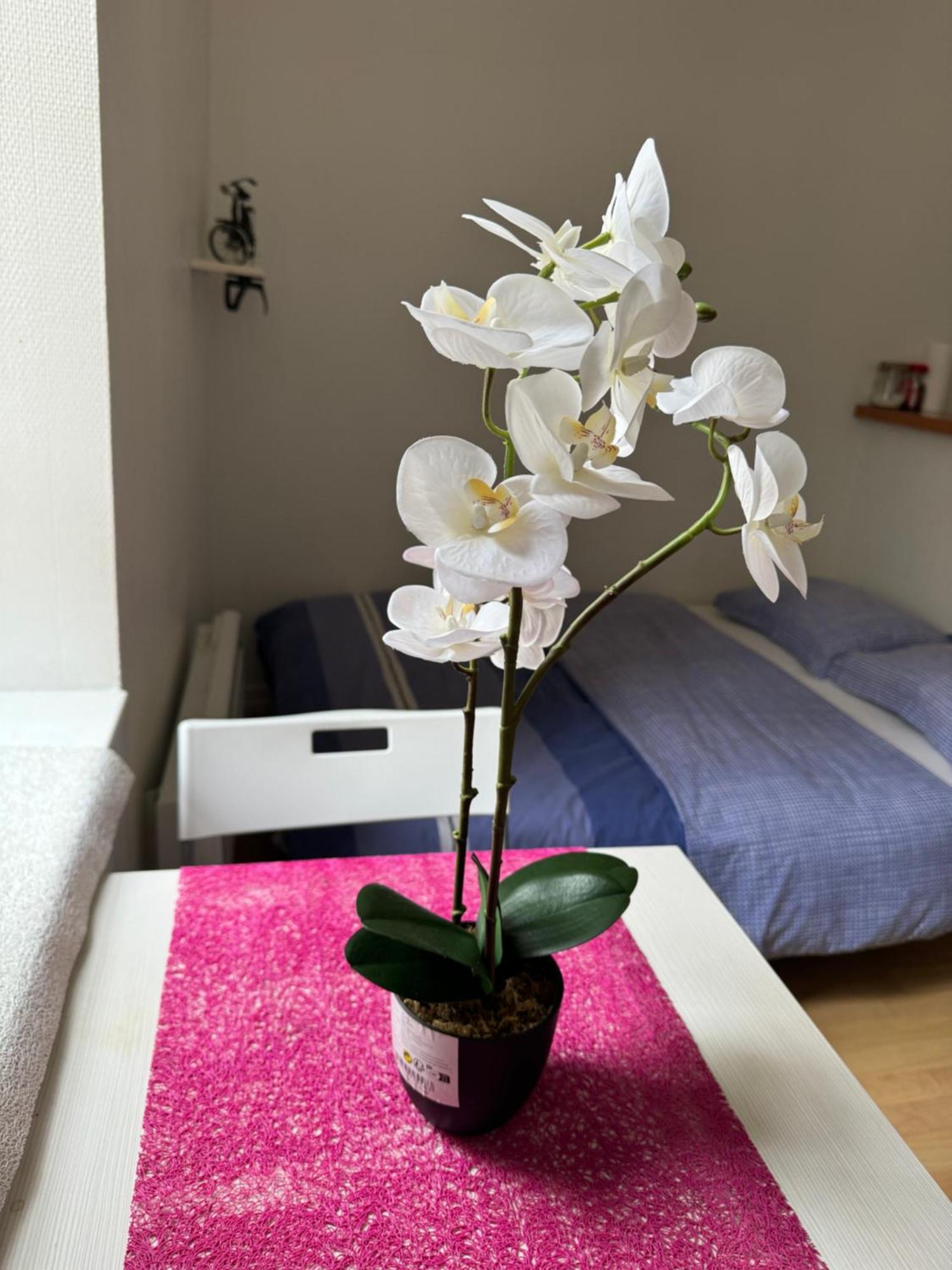 Appartement Studio, Hyper Centre