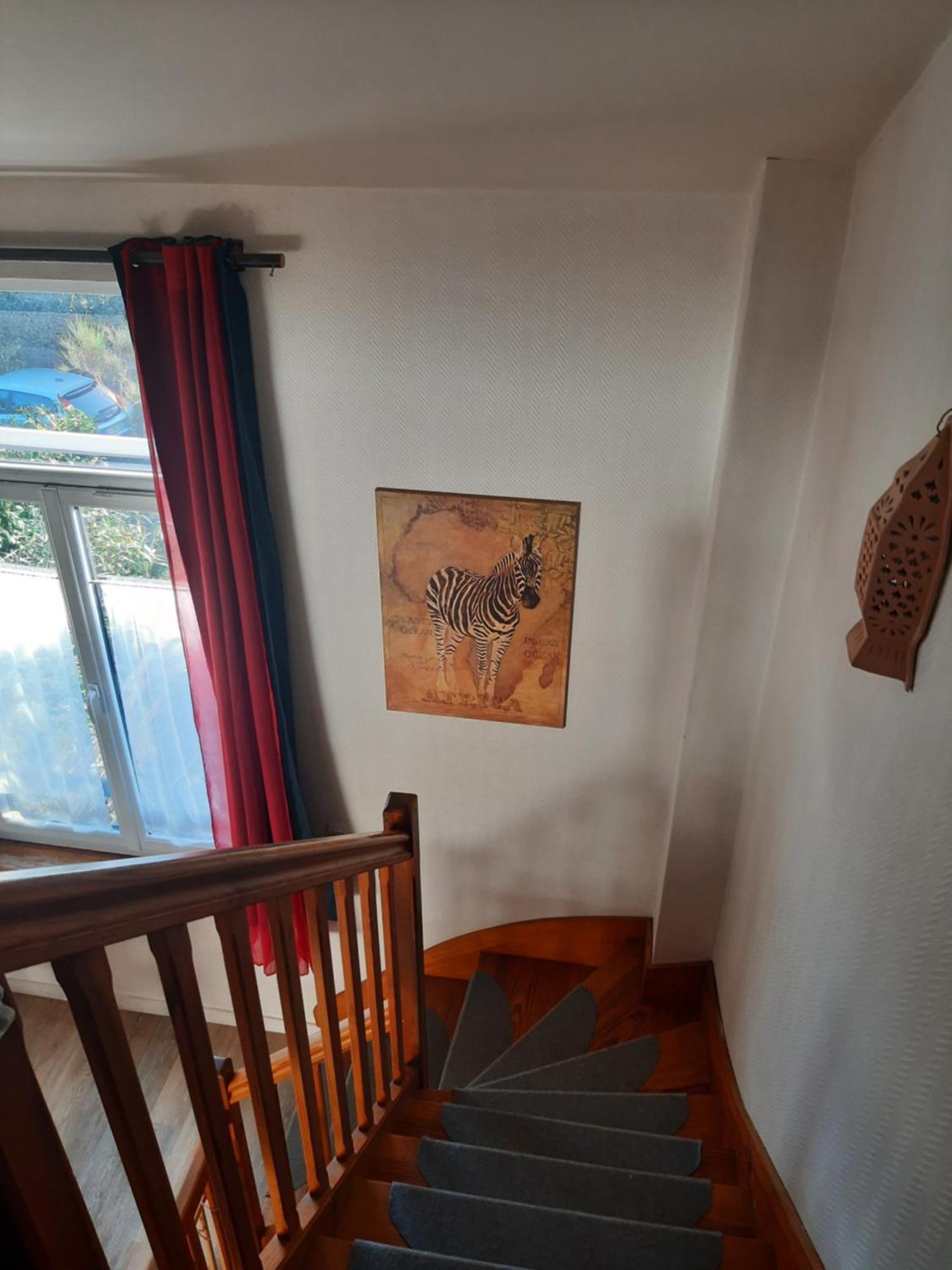 Appartement Duplex 1er étage 1 Ou Rdc Centre