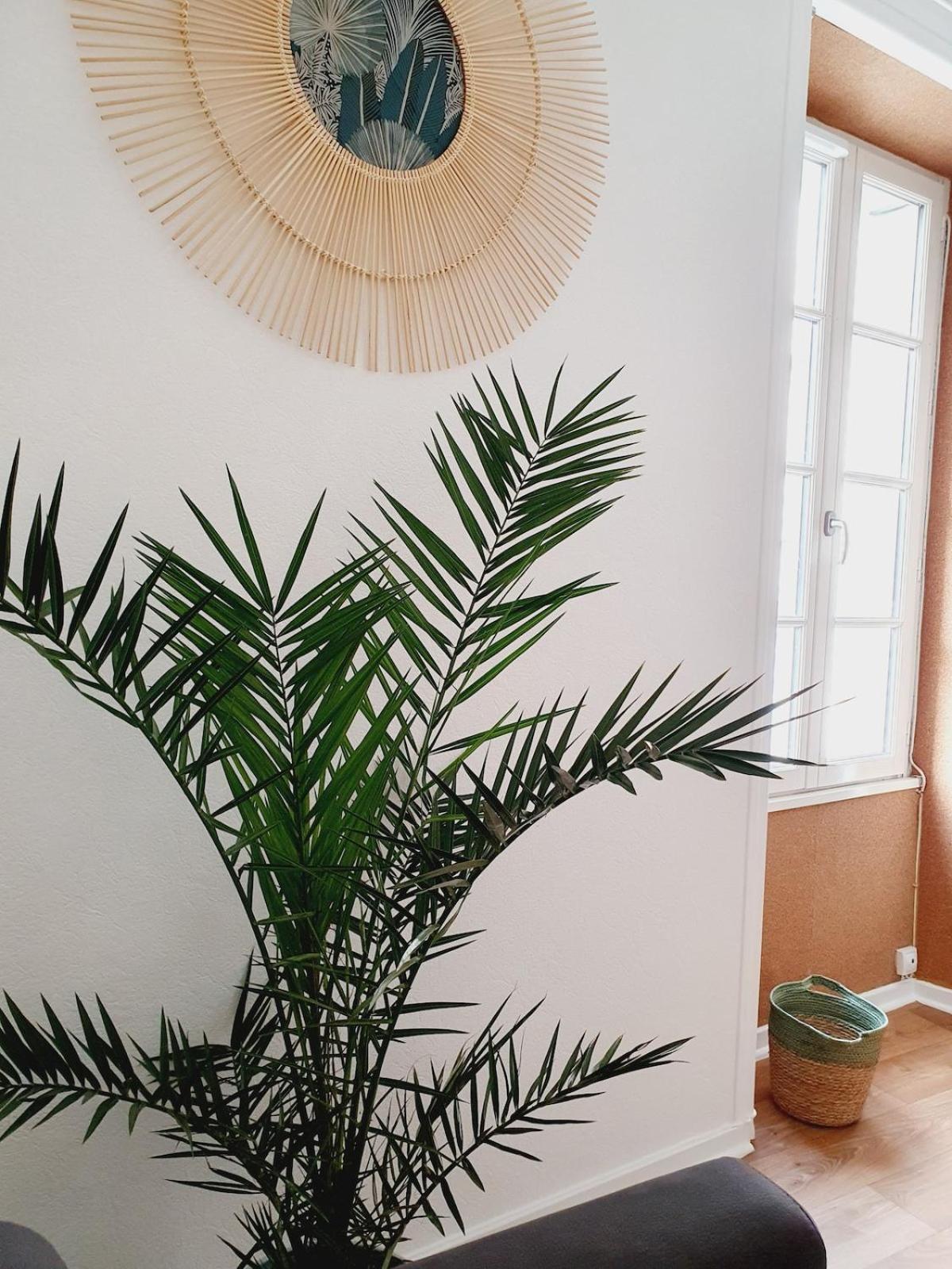 - Appartement La Rochelle (Charente-Maritime)