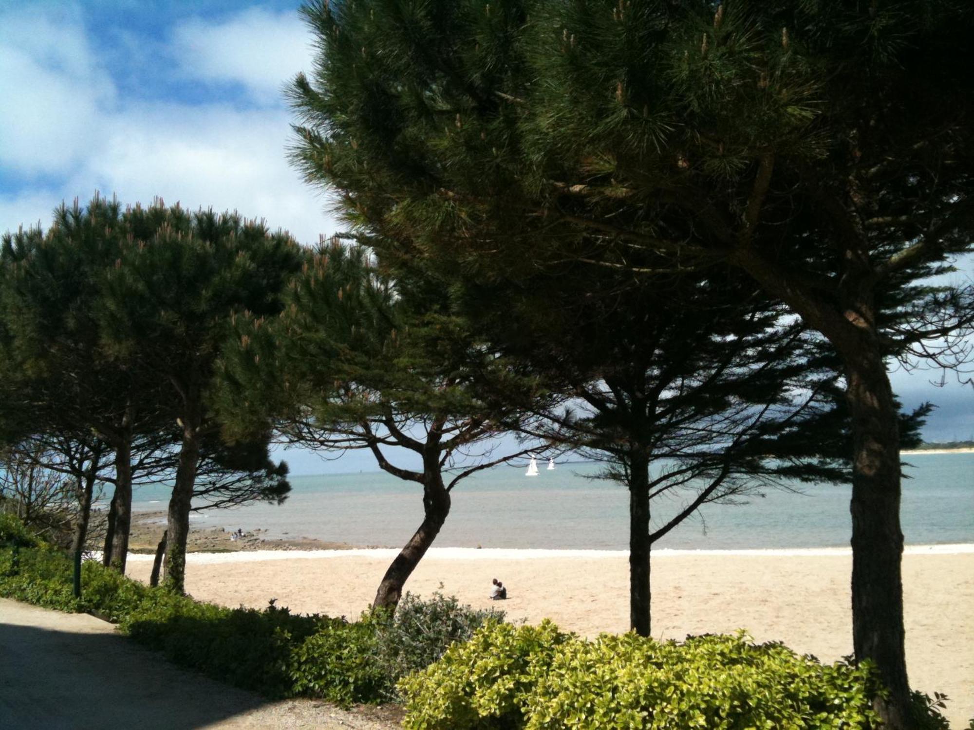 Magnifique Vue Mer, Acces Direct *