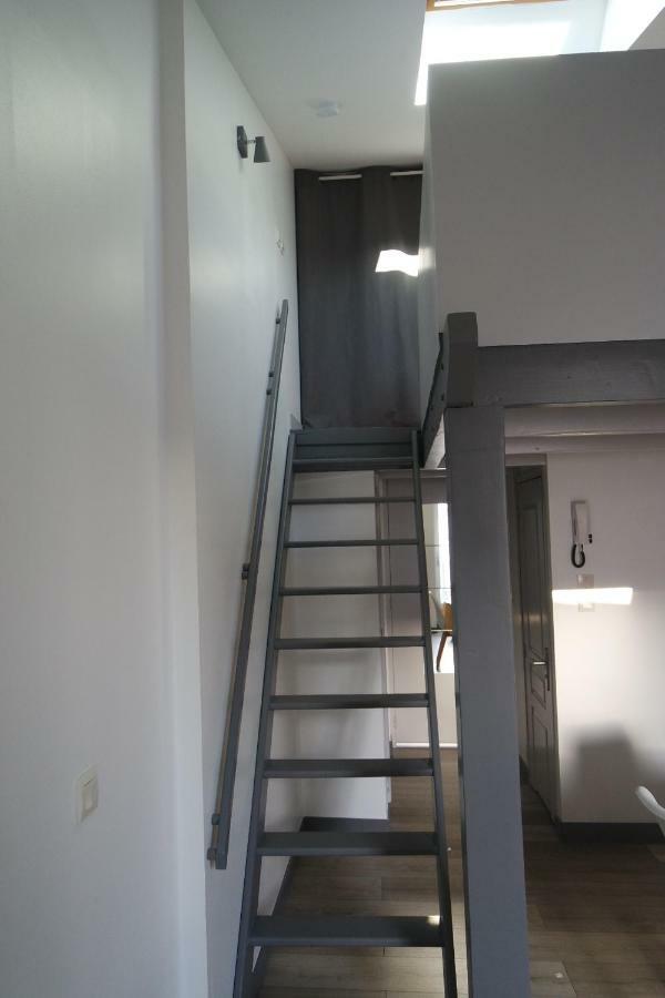Appartement Studio Hypercentre Lr *